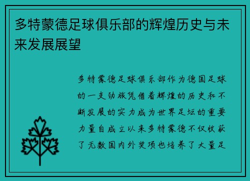 多特蒙德足球俱乐部的辉煌历史与未来发展展望