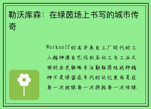 勒沃库森：在绿茵场上书写的城市传奇