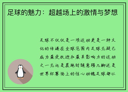 足球的魅力：超越场上的激情与梦想